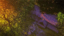 Item #95000037 Media