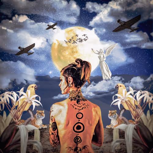 Item #71000007 Media