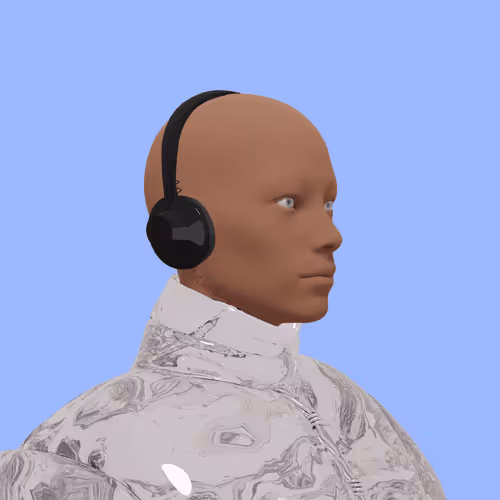 Item #541 Media