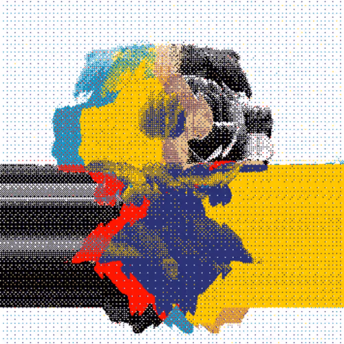 budding transformation