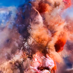 Singularity #846