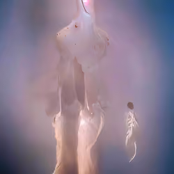 Singularity #493
