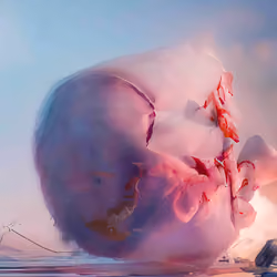 Singularity #787