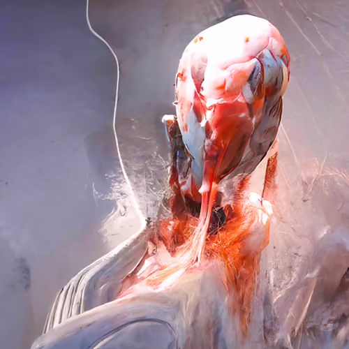 Singularity #770
