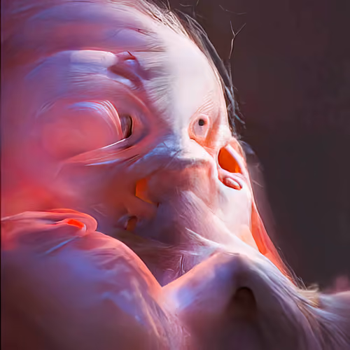 Singularity #214