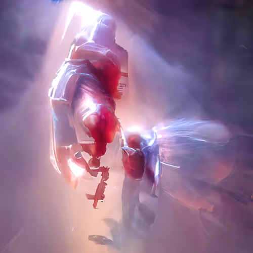 Thesingularity