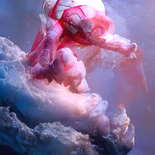 Thesingularity