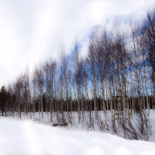 A Postcard for your Soul