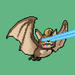 CryptoBat #7079