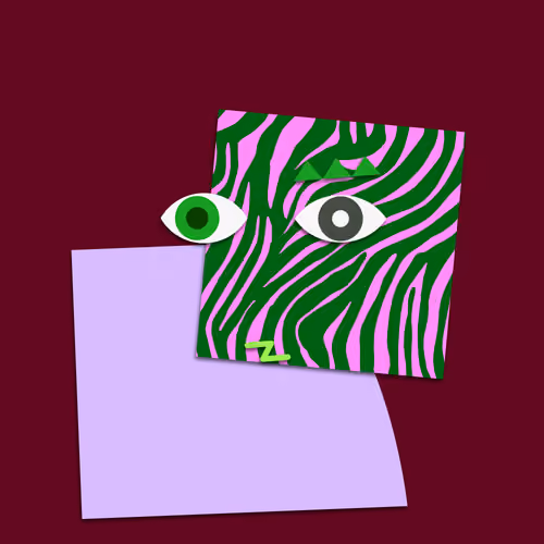 PARTICIPANT 2833