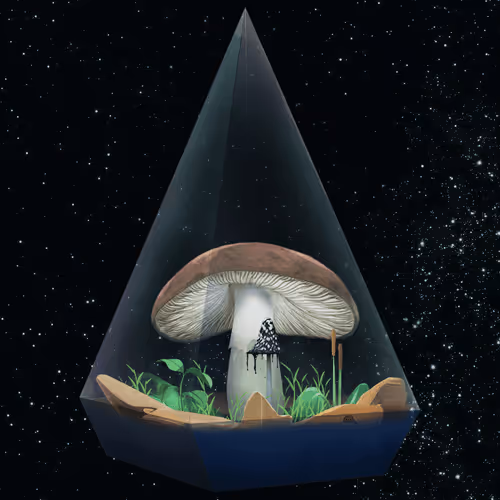 Terrariumclub