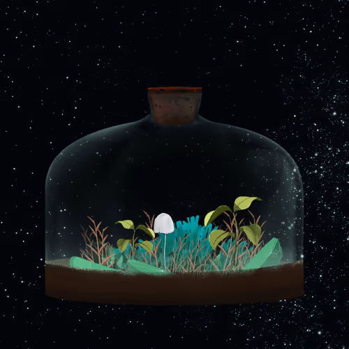 Terrariumclub