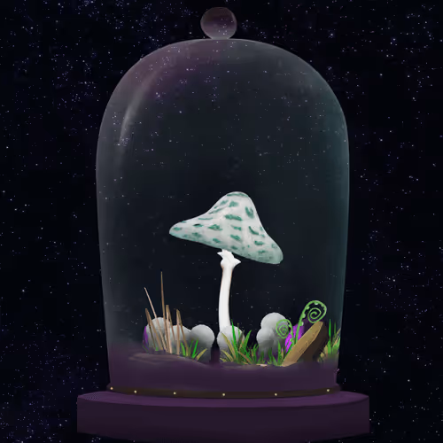 Terrariumclub