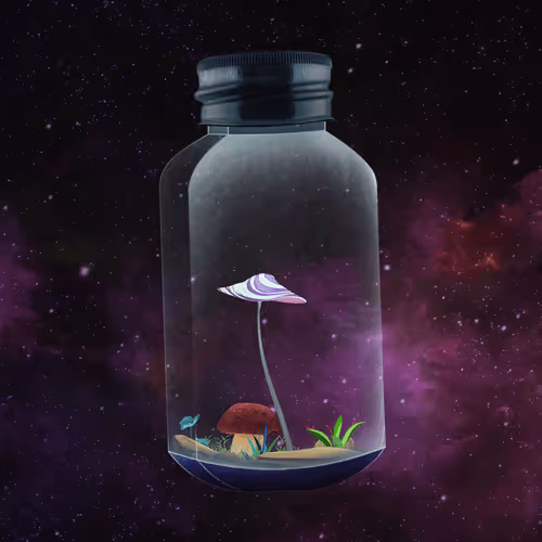 Terrariumclub
