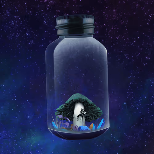 Terrariumclub