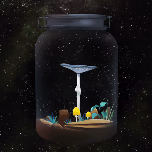 Terrariumclub