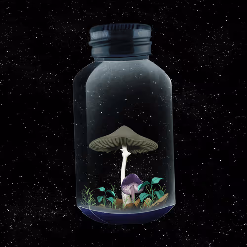 Terrariumclub