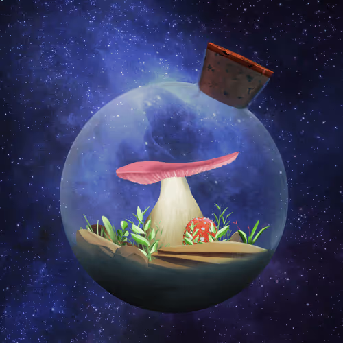 Mushroom #1007