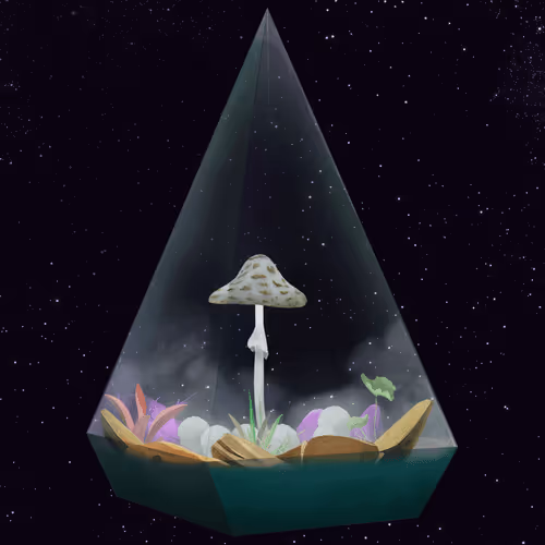 Terrariumclub