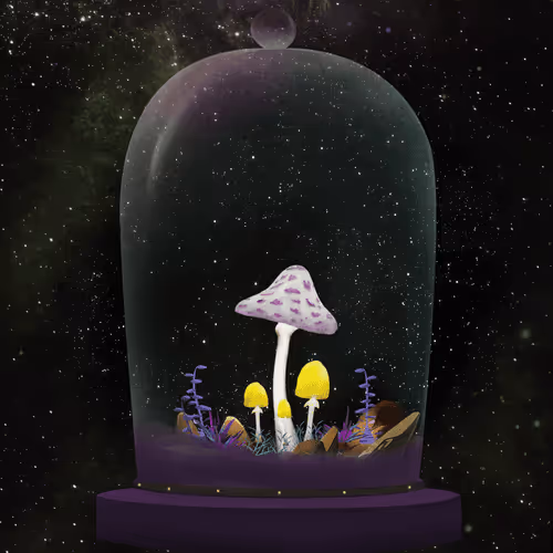 Terrariumclub