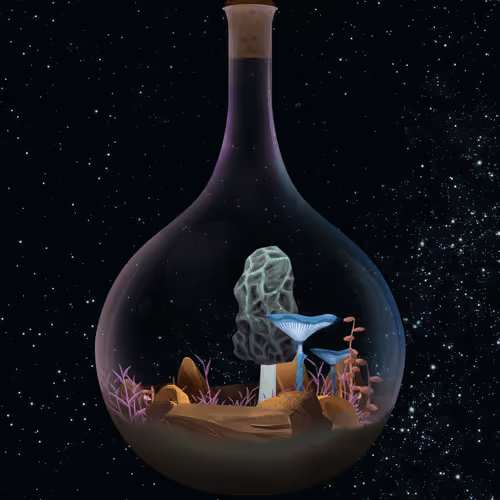 Terrariumclub