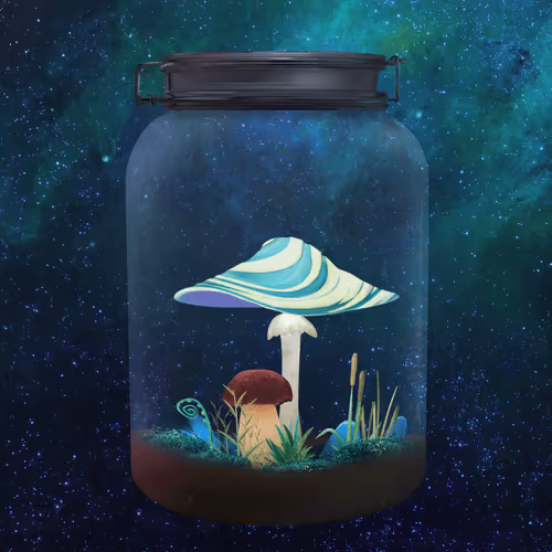 Terrariumclub