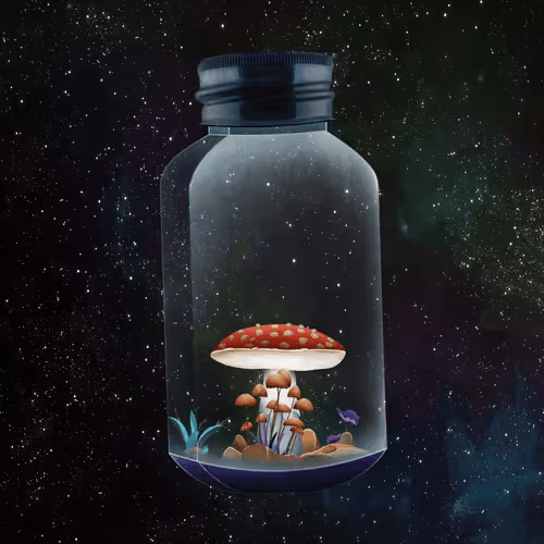 Terrariumclub
