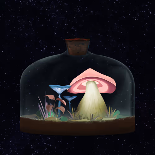 Terrariumclub