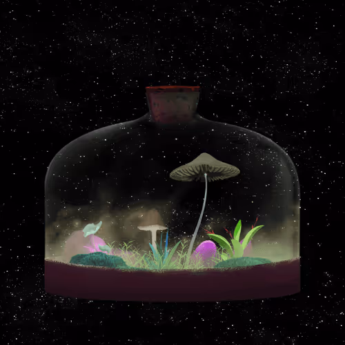 Terrariumclub