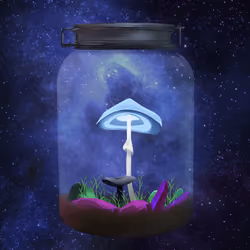 Magic Mushroom #1555