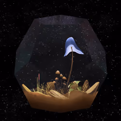 Mushroom #537