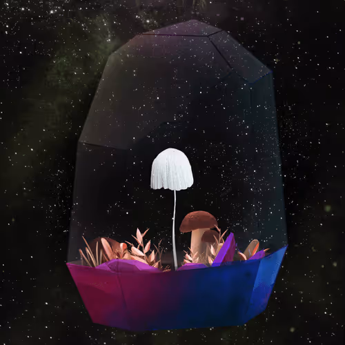 Terrariumclub