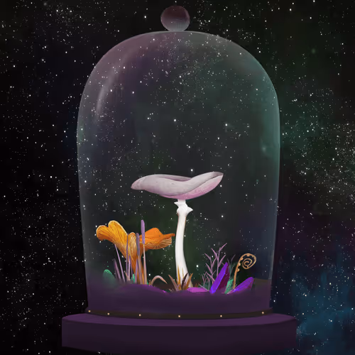 Terrariumclub
