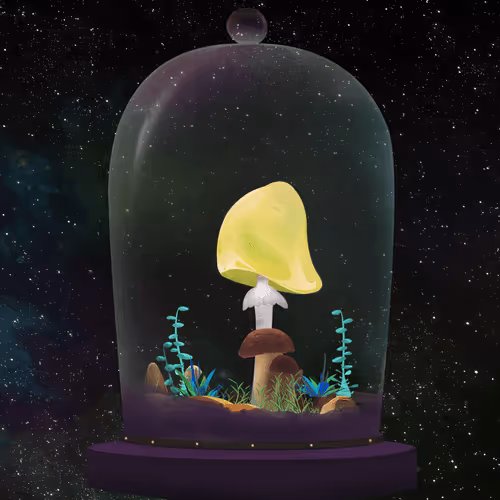 Mushroom #807