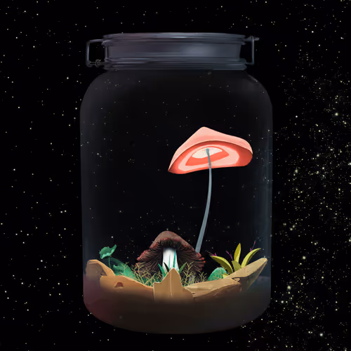 Mushroom #2690