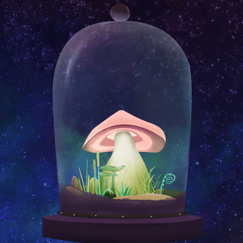 Terrariumclub