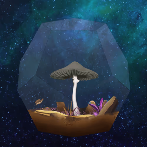 Terrariumclub