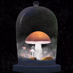 Mushroom #105