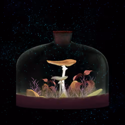 Mushroom #652