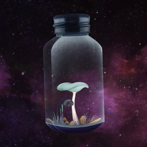 Mushroom #2915