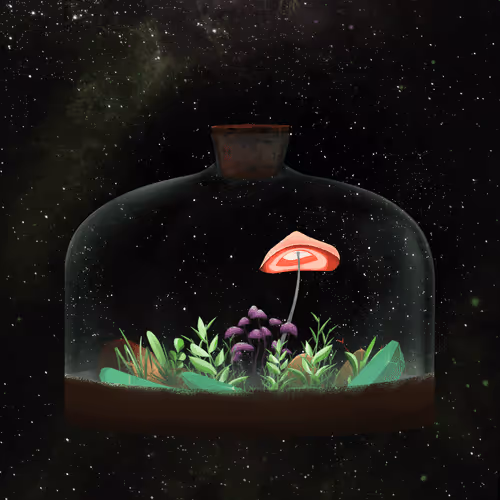 Terrariumclub