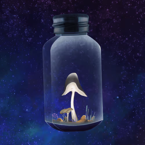 Terrariumclub