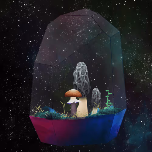 Terrariumclub