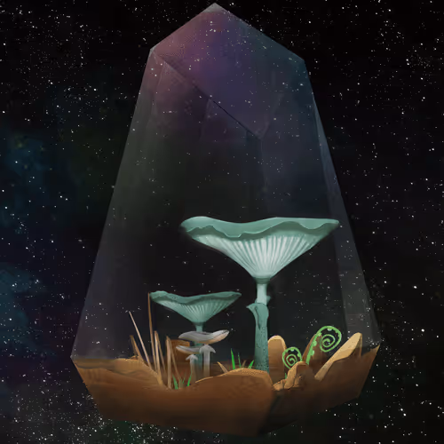Terrariumclub