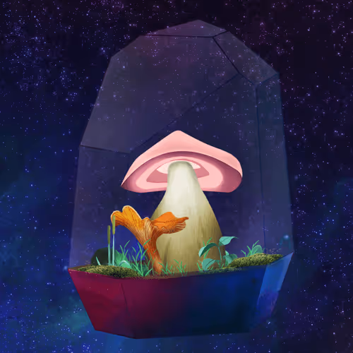 Terrariumclub