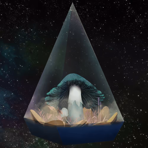 Mushroom #795
