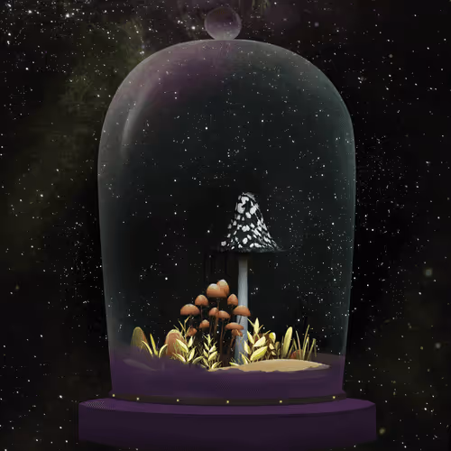 Terrariumclub