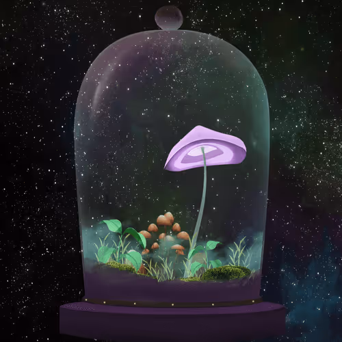 Terrariumclub