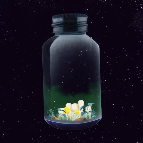Terrariumclub