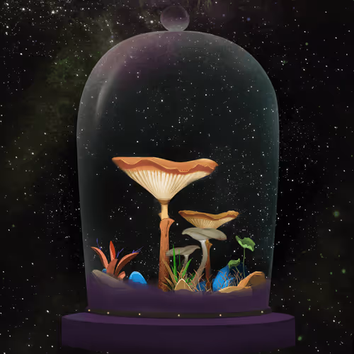 Terrariumclub